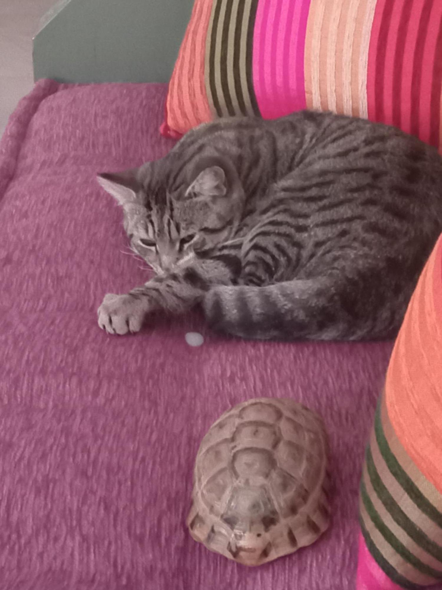 Riad Tania Mozaik Tarudant Zewnętrze zdjęcie